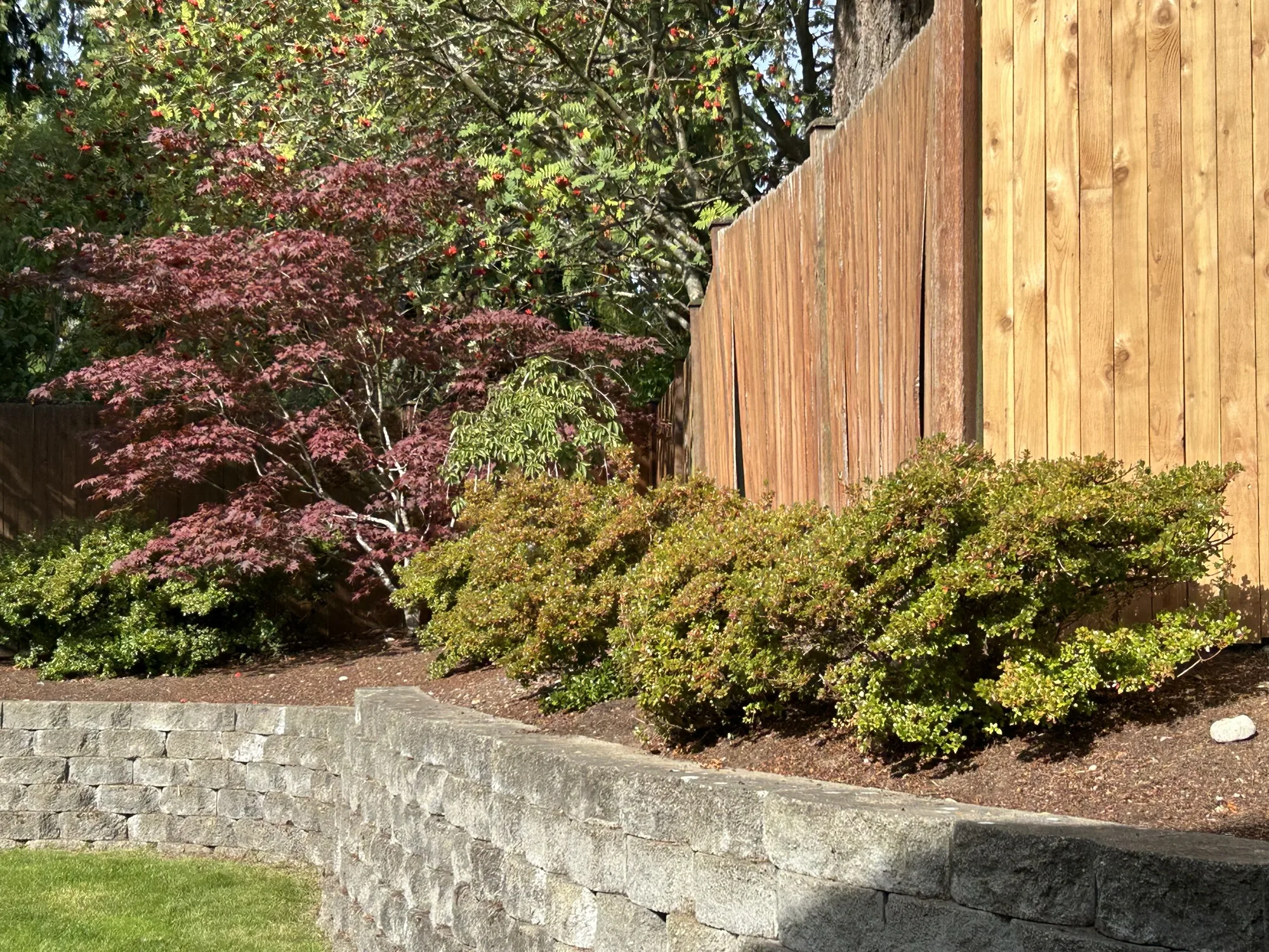 Detail view of deck rail meeting privacy fence